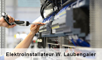 elektro laubengaier
